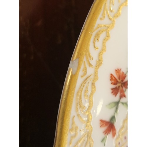 215 - A pair of Sevres plates circa 1773. 24cm diameter. (2)