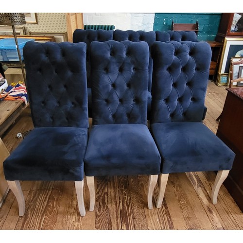 48 - Six navy blue velour button back dining chairs with scroll top and grey ash legs. Backs measure 109c... 