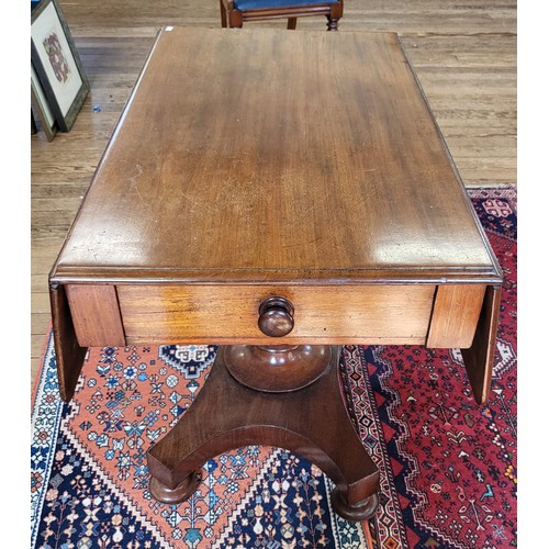 Lot 35        