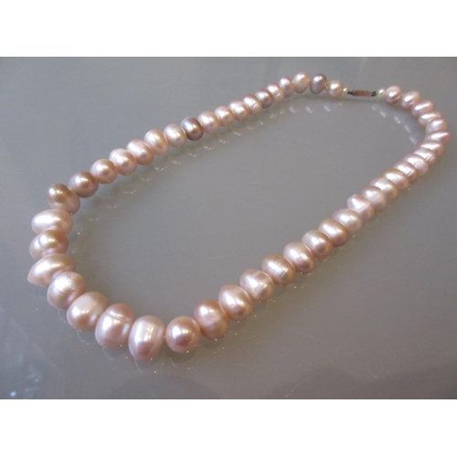 1060 - Single strand freshwater pearl necklace in fitted box with 9ct gold clasp