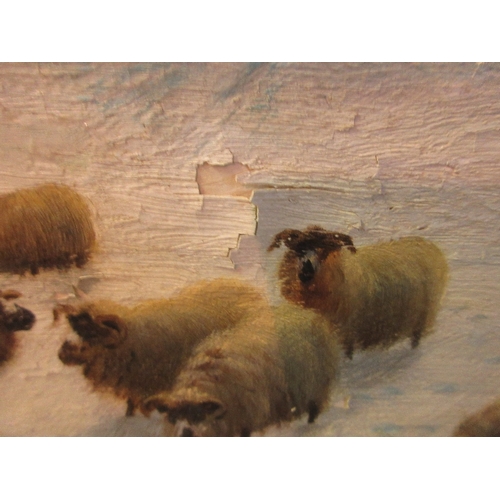 1226 - W.H. Watson, oil on board, snowy winter landscape with various sheep, signed, gilt framed, 20.5ins x... 