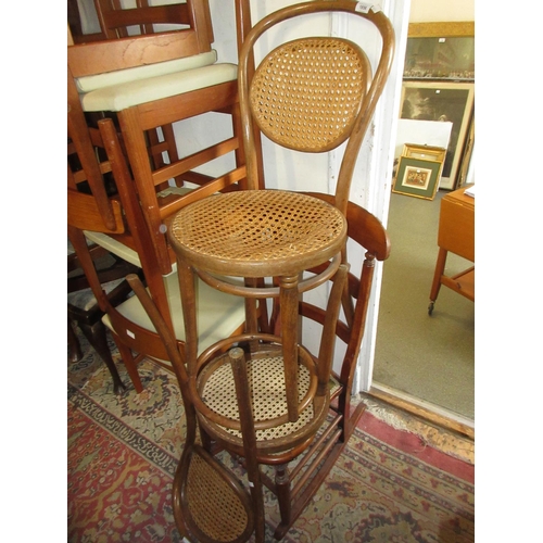 1856 - Pair of 19th Century mahogany balloon back side chairs having overstuffed seats on turned tapering c... 