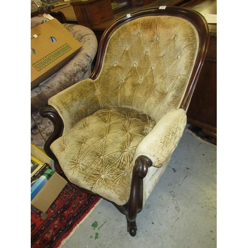 2293 - Good quality Victorian carved mahogany and button upholstered tub shaped drawing room chair on cabri... 