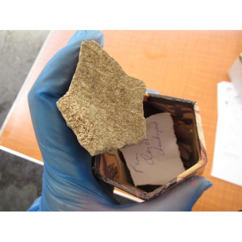 260 - Box containing a large quantity of fossils and mineral samples etc, many identified by type and exca... 