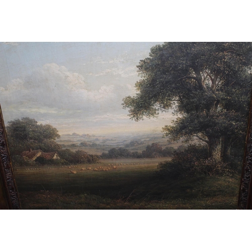 669 - 19th Century oil on canvas laid onto board, view across a rural landscape with sheep grazing by cott... 