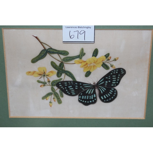 679 - Two Chinese paintings on rice paper, botanical study with butterfly and similar study with yellow bl... 