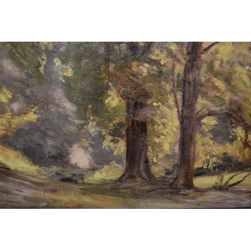 707 - An ebonised framed oil on panel, sunlit woodland path, bearing label verso 'Norbury Woods, Frank Spe... 