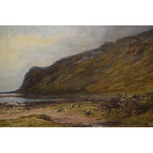 708 - Pollok S. Nisbet, signed oil on canvas laid onto panel, sheep in a coastal landscape, inscribed vers... 