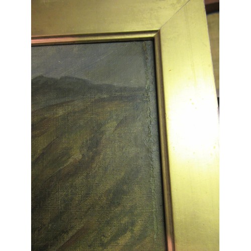 708 - Pollok S. Nisbet, signed oil on canvas laid onto panel, sheep in a coastal landscape, inscribed vers... 