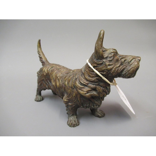 284 - Late 19th / early 20th Century Austrian cold painted bronze figure of a Scotts Terrier, 5.75ins long