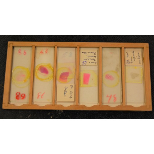 227 - 19th Century pine microscope slide box containing various slides