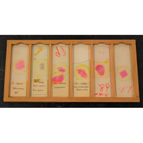 227 - 19th Century pine microscope slide box containing various slides