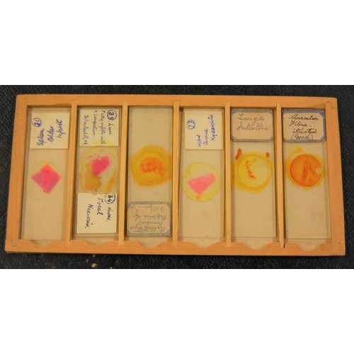 227 - 19th Century pine microscope slide box containing various slides