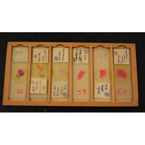 227 - 19th Century pine microscope slide box containing various slides