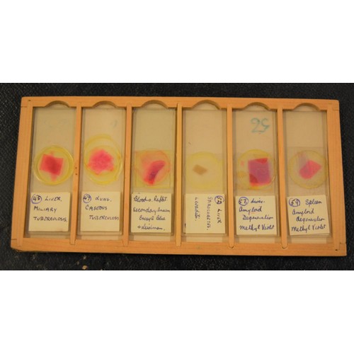 227 - 19th Century pine microscope slide box containing various slides