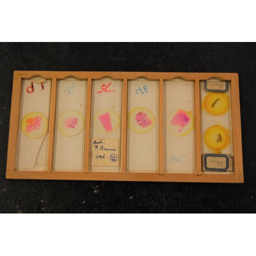 227 - 19th Century pine microscope slide box containing various slides