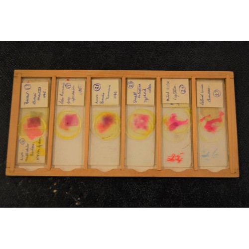 227 - 19th Century pine microscope slide box containing various slides