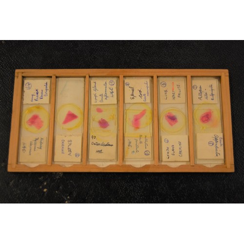 227 - 19th Century pine microscope slide box containing various slides