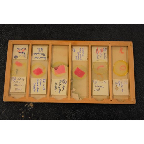 227 - 19th Century pine microscope slide box containing various slides