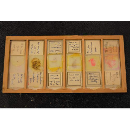 227 - 19th Century pine microscope slide box containing various slides