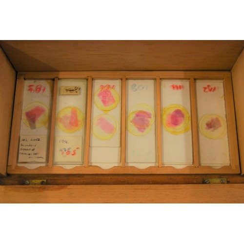 227 - 19th Century pine microscope slide box containing various slides