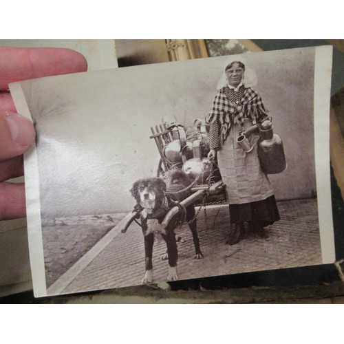 303 - Quantity of 20th Century photographs in albums and loose