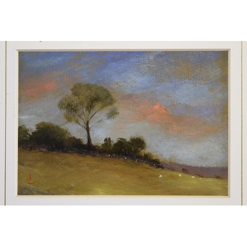 1135 - Brian Cook, four unframed oils, trees by a lake, and other landscapes, all monogrammed and locations... 