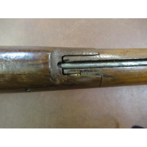 319 - 19th Century percussion cap musket with walnut stock, 55ins long overall (at fault)