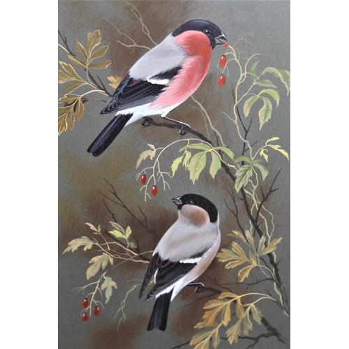 1328 - Paul A. Nicholas, gouache study of finches eating berries, dated 1973, 12.5ins x 7.5ins