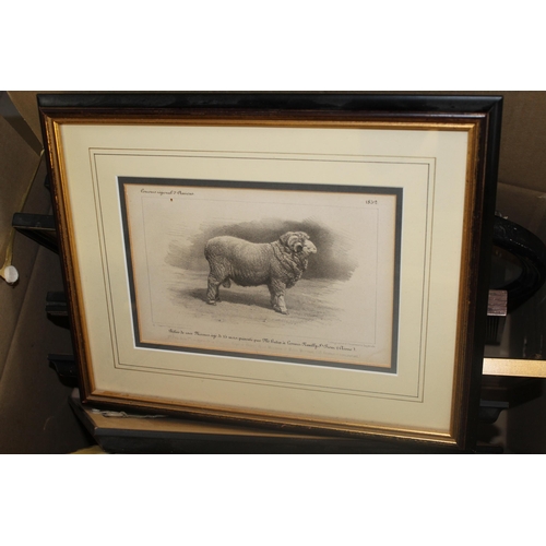 1013 - Three framed hunting prints together with a quantity of various framed prints and engravings
