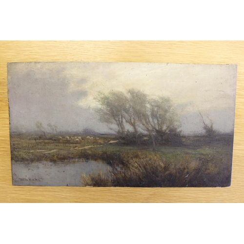 1203 - William Tatton Winter, oil on board, windswept landscape with sheep, trees and water, signed Tatton ... 