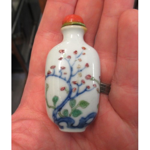 219 - Chinese porcelain enamel decorated snuff bottle