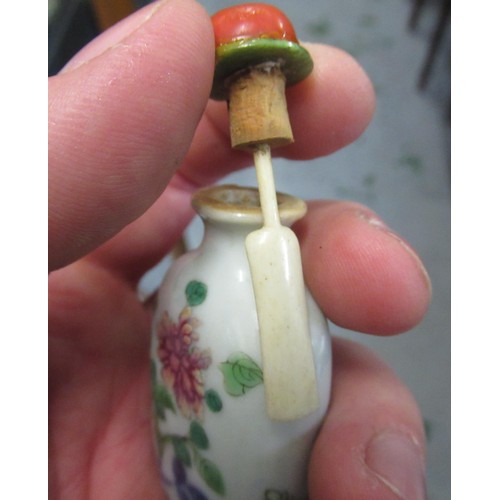 219 - Chinese porcelain enamel decorated snuff bottle