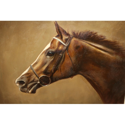 1451 - Frank L. Geere, oil on canvas, head study of a horse in bridle, signed and gilt framed, 15.5ins x 19... 