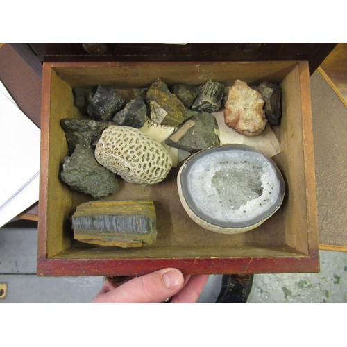 373 - Stained pine collectors cabinet containing a collection of various crystals and minerals, including ... 