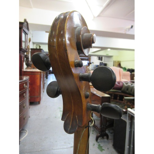 491 - Late 19th / early 20th Century cello with 30in back (for restoration)