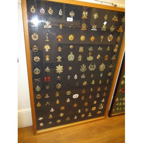 391 - Large oak framed and glazed collection of mounted military badges