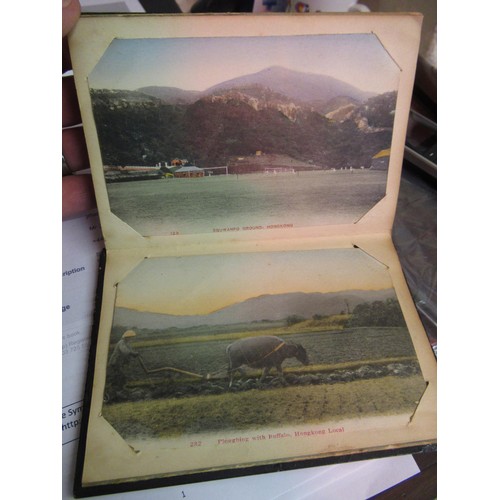 333 - Small Eastern lacquered postcard album containing views of Hong Kong and two painted postcards, toge... 