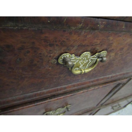 1554 - 17th / early 18th Century Mulberry burr yew straight front chest of three long drawers with brass ha... 