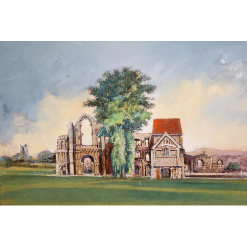 67 - Watercolour, view of Castle Acre, Norfolk, 30cms x 37cms together with a mixed media, botanical stud... 