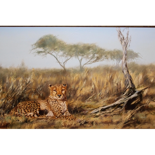 Leonard Pearman, oil on canvas, ' Cheetah in Savuti ', 37cms x 61cms ...