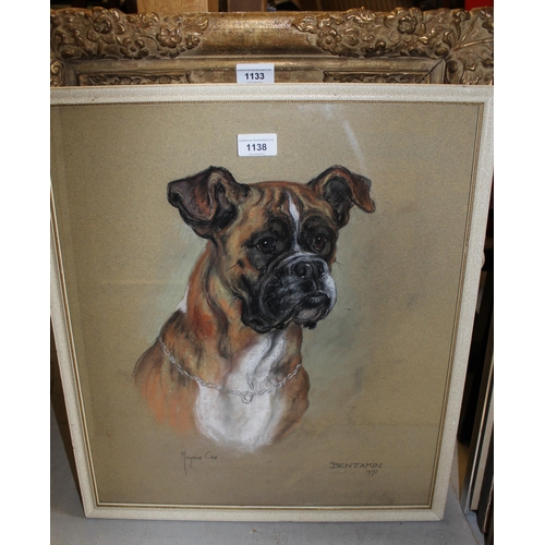 1138 - Marjorie Cox, signed pastel drawing, portrait of a boxer dog, 49cms x 23cms