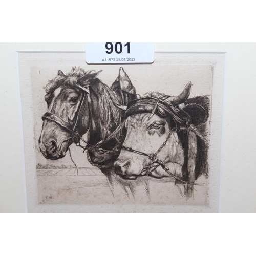 Lot 901       