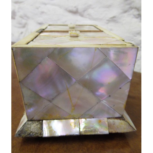 1247 - 19th Century mother of pearl two division tea caddy (slight damages)