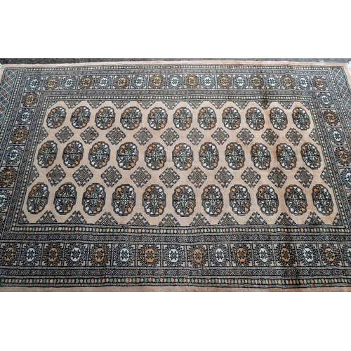 34 - Pakistan rug of Turkoman design with three rows of gold on a beige ground with borders, 186cms x 126... 