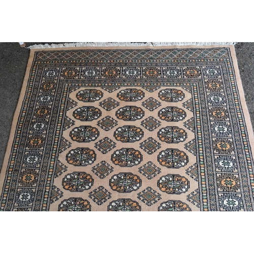 34 - Pakistan rug of Turkoman design with three rows of gold on a beige ground with borders, 186cms x 126... 
