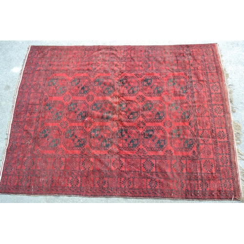 6 - Afghan carpet with three rows of six gols on a wine red ground with borders, (some damages and wear)... 