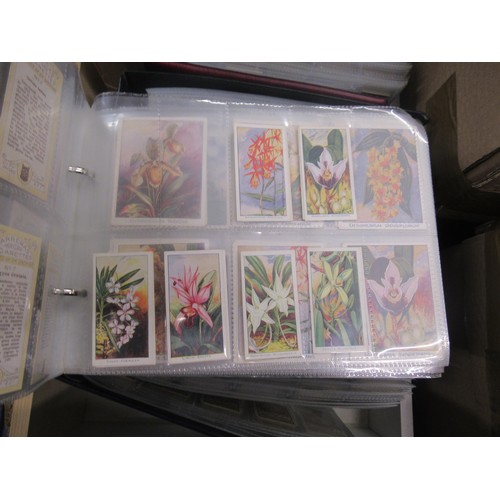 320 - Six albums containing a collection of Scarcer odds of cigarette cards from manufacturers C