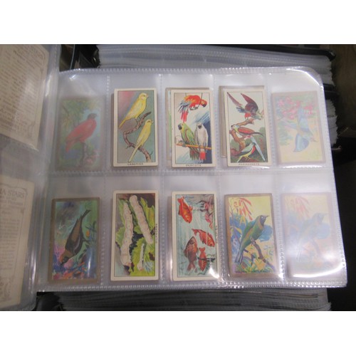 320 - Six albums containing a collection of Scarcer odds of cigarette cards from manufacturers C