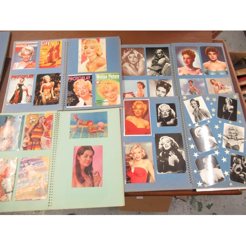 173 - Eleven albums containing a large collection of various 20th Century postcards of various models incl... 